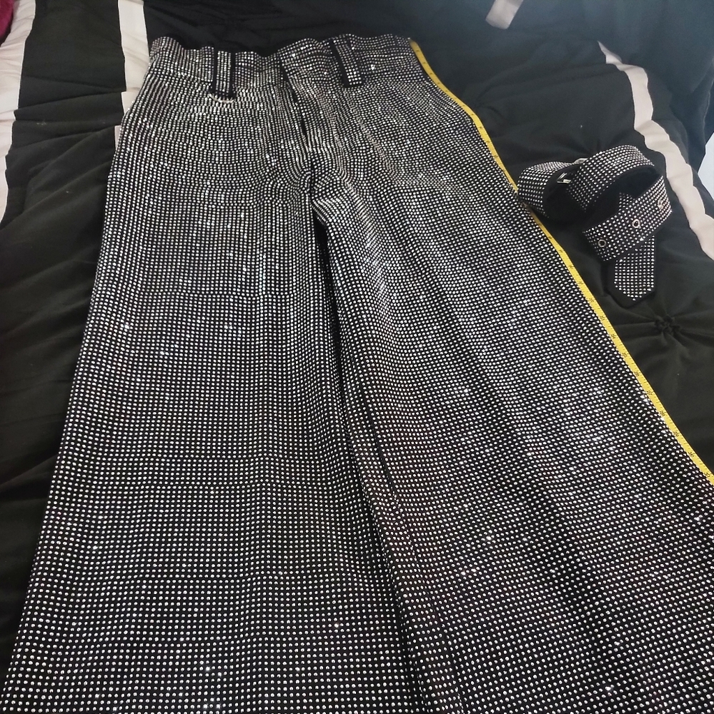 Gritty Soul CleopantRhineston Pants fully lined Size Large w/pleats in the waist
